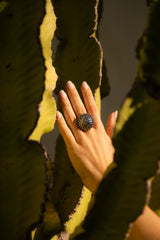 Anillo Disco