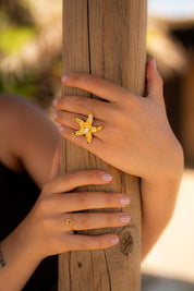 Anillo Le Mar