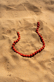Collar Baloo Rojo