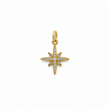 Charm Estrella Destello