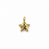 Charm Estrella Abombada