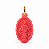 Charm Medalla Virgen Milagrosa