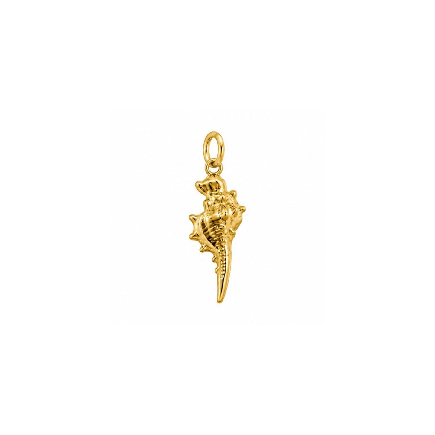 Charm caracola espinas