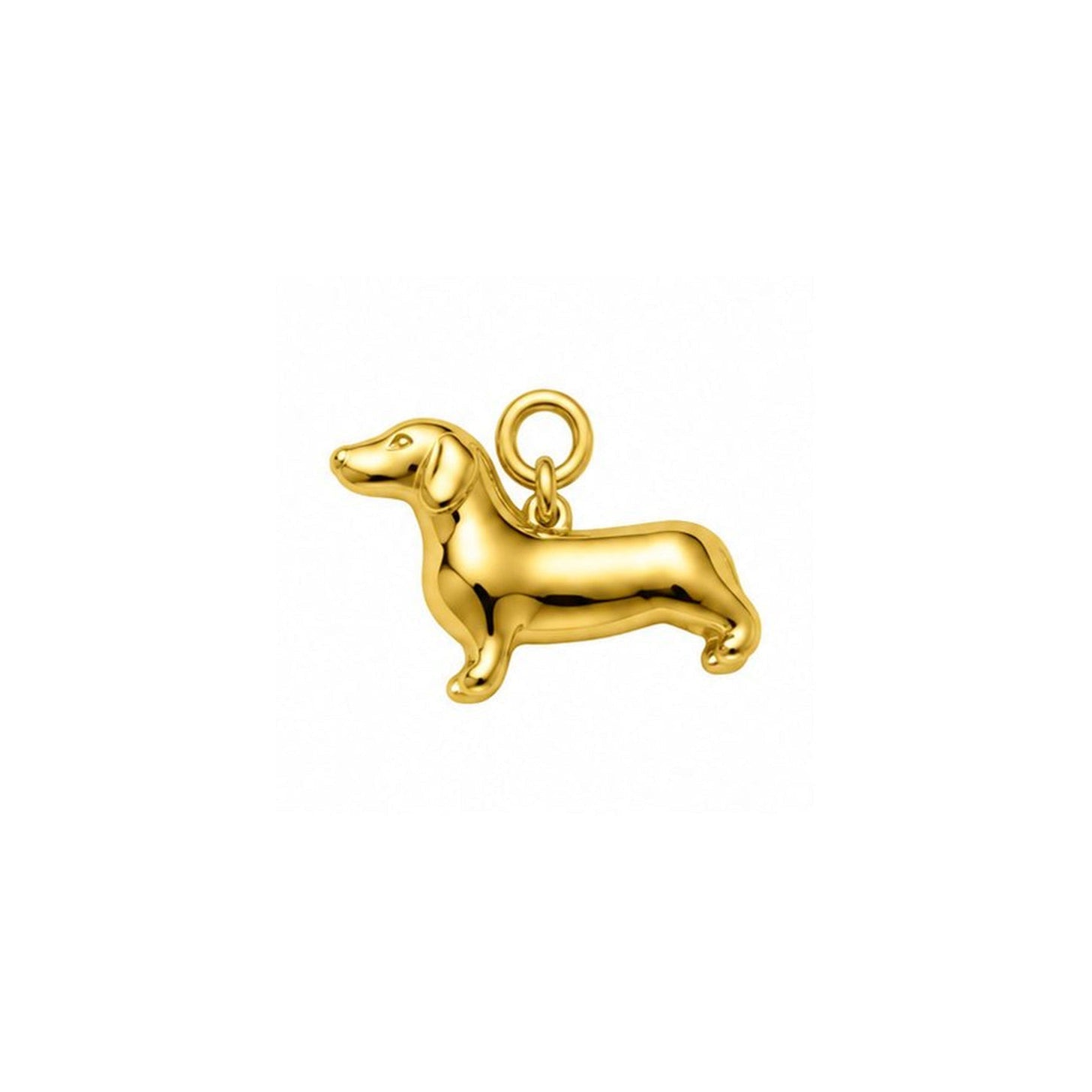 Charm perro salchicha